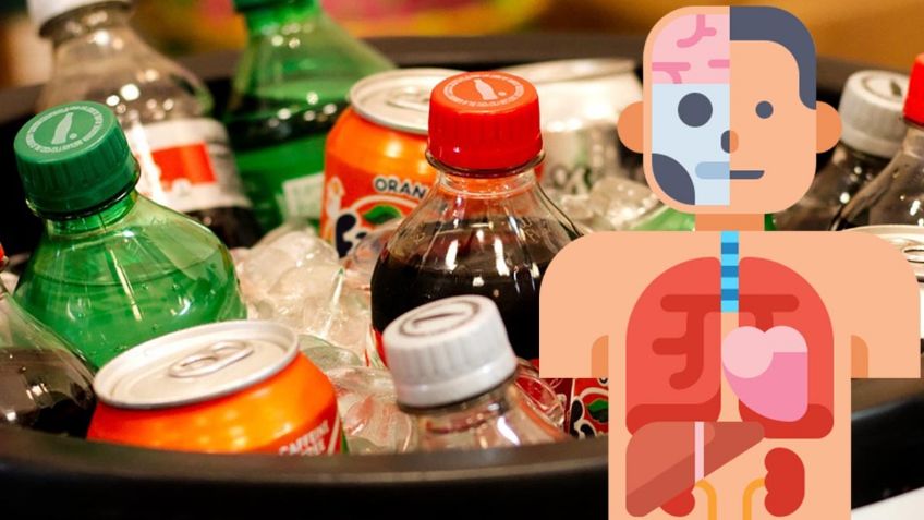 ¡Cuidado! ¿Cuáles son los órganos que se DAÑAN si se bebe refresco?