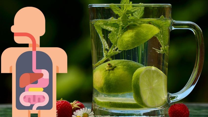 El AGUA que reduce la fatiga, mejora la digestión y ayuda a mantener una mejor concentración