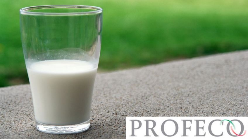 Profeco: ¿Cuáles son las peores marcas de LECHE en POLVO que hay en el mercado?