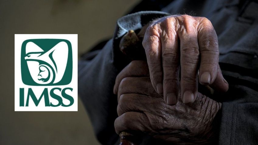 Pensión IMSS: ¿Cuáles son las DIFERENCIAS entre el Retiro Programado y la Renta Vitalicia?