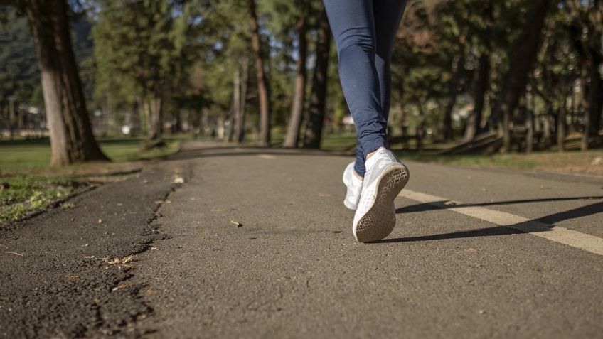 Checa los mejores 7 TENIS para Trail running y sus PRECIOS en internet