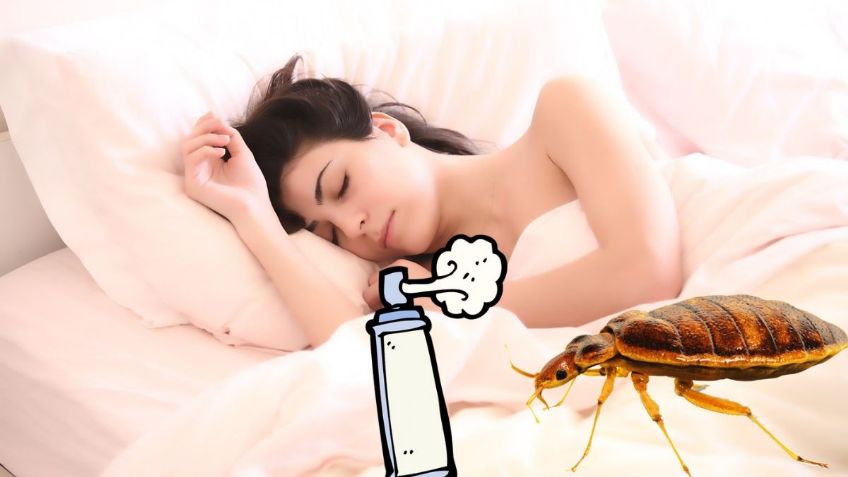 3 métodos efectivos para ELIMINAR a las CHINCHES de la cama, según ChatGPT
