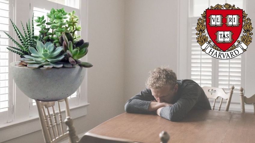 Ingrediente de cocina puede fortalecer la salud mental, según Universidad de Harvard