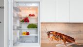Así debes limpiar tu REFRIGERADOR para ELIMINAR a las cucarachas