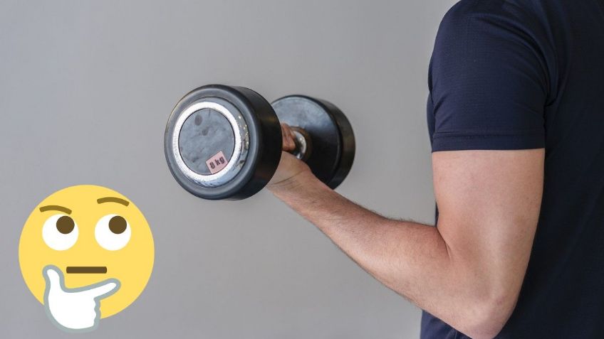 Universidad de Harvard revela 3 EJERCICIOS clave para aumentar la MASA MUSCULAR