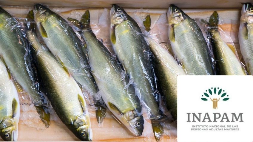 Credencial INAPAM da DESCUENTO a adultos mayores en estas PESCADERÍAS