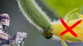 ChatGPT revela las mejores PLANTAS para alejar a las CHINCHES de casa | Tips