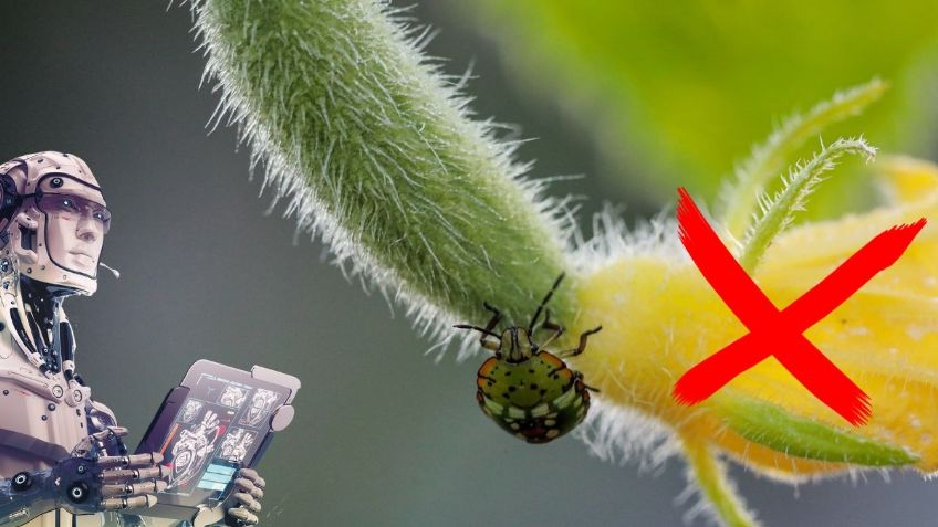 ChatGPT revela las mejores PLANTAS para alejar a las CHINCHES de casa | Tips