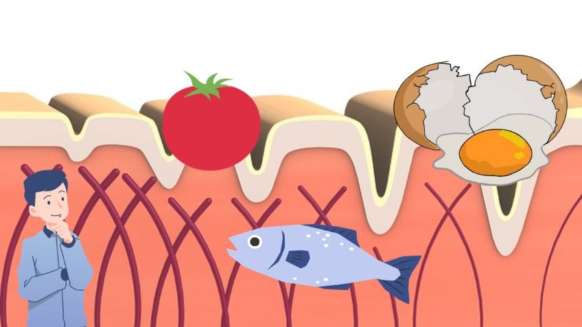 ¿Cuáles son los ALIMENTOS que aportan colágeno y cómo incluirlos en la dieta?