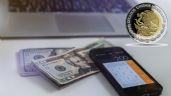 Así despertó el DÓLAR frente al peso mexicano HOY lunes 13 de noviembre | Precio bancos