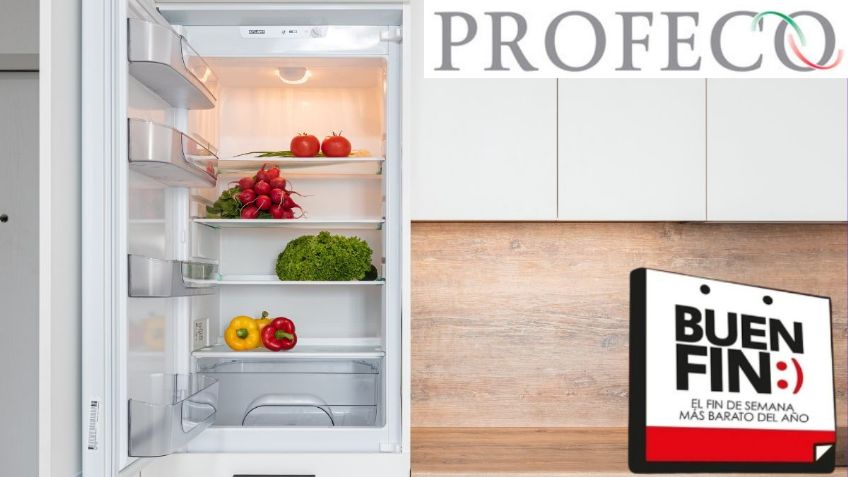 Buen Fin 2023: ¿Cuál es el mejor REFRIGERADOR que puedes adquirir según la Profeco?