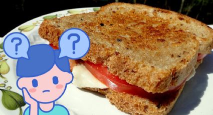 ¿Qué alimento engorda más, el PAN NORMAL o el PAN TOSTADO y por qué?