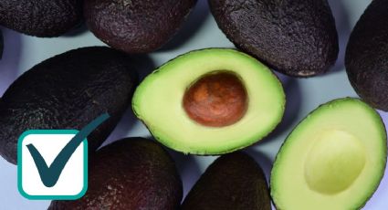 Los mejores 3 platillos con aguacate, el superalimento que te dará hasta 5 beneficios a la salud