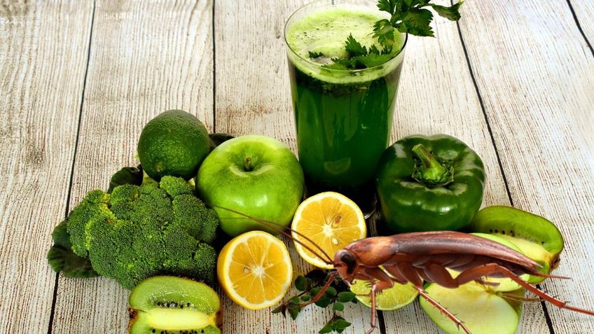 3 frutas que sirven para alejar a las CUCARACHAS de casa, según Google Bard