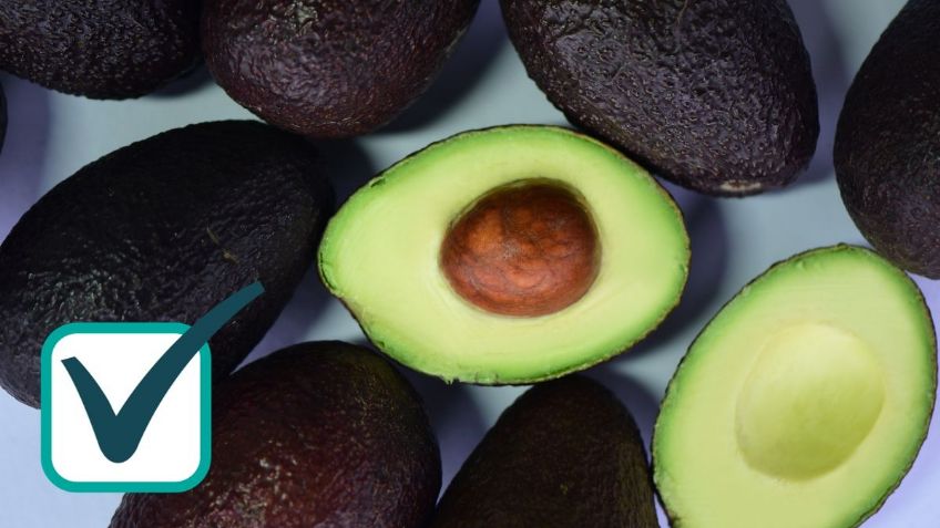 Los mejores 3 platillos con aguacate, el superalimento que te dará hasta 5 beneficios a la salud