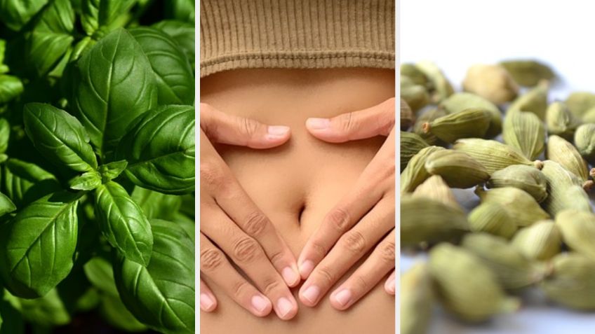 Jengibre y otras dos hierbas que ayudan a mantener el VIENTRE plano | Tips