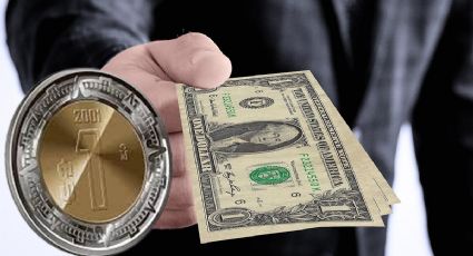 Así despertó el dólar frente al peso mexicano hoy lunes 27 de noviembre | Precio bancos