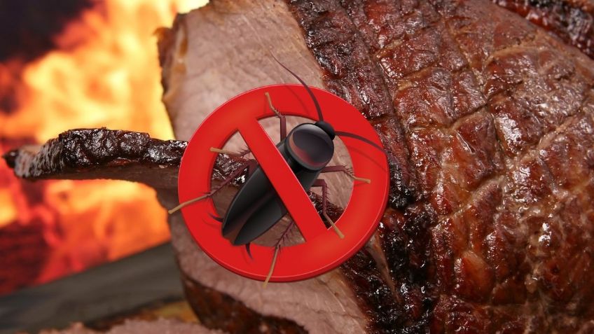 ¿Qué puedo hacer si encontré CUCARACHAS en la carne? | ChatGPT