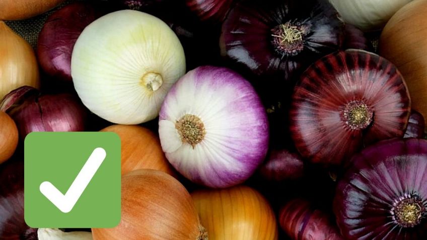 ¿Cuáles son los beneficios de comer cebolla durante todos los días?