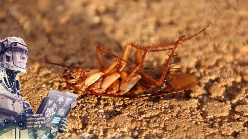 Google Bard revela las razones por las que NO se debe pisar a las CUCARACHAS