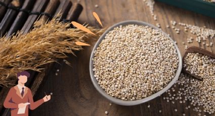 ¿Qué es la QUINOA y qué beneficios tiene para el cuerpo?