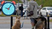 ¿Cuántas veces al día debo sacar a mi perro a pasear?