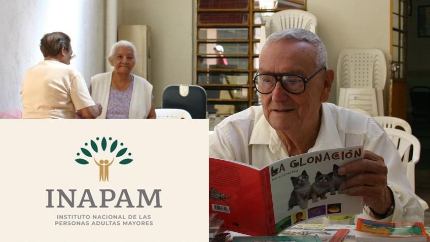 Credencial INAPAM: ¿Cuál es el regalo que recibirán todos sus beneficiarios en diciembre?