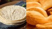 ¿Cuántas tortillas equivalen a comer un bolillo y cuántas calorías sumarías a tu cuerpo?