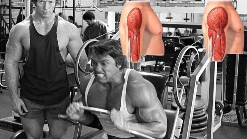 Arnold Schwarzenegger: La clave para poder aumentar la masa muscular y el volumen sin engordar
