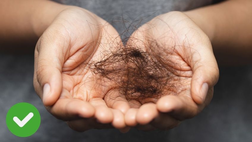 ¿Cómo acabar con la caída del cabello? Sigue estos 3 consejos