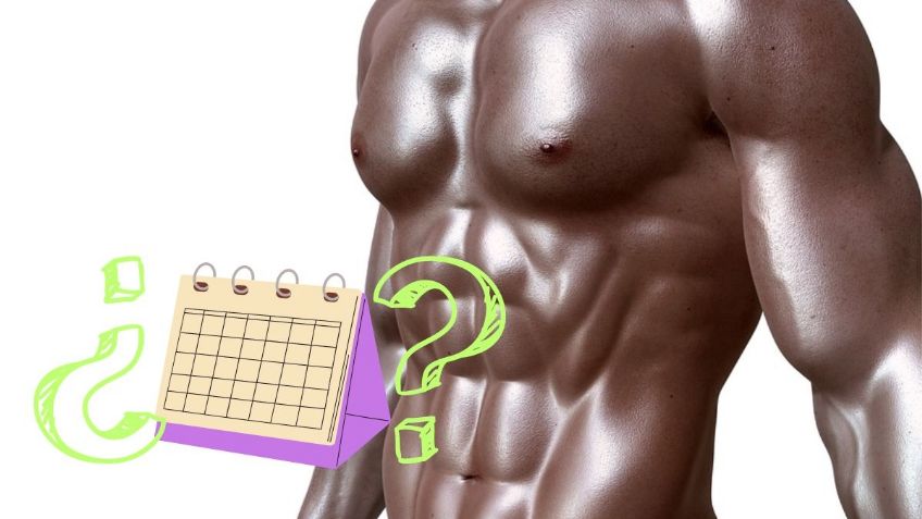 ¿Cuántas veces a la semana se debe trabajar el abdomen?