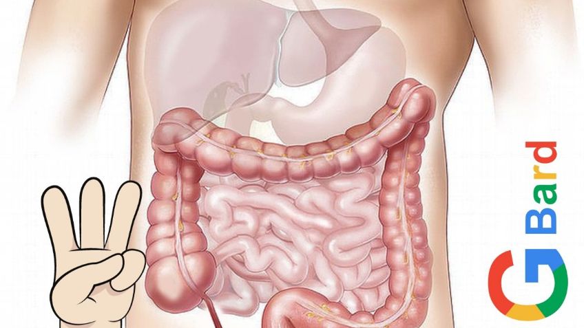 3 alimentos para cuidar el hígado y 3 para limpiar los riñones, según inteligencia artificial de Google
