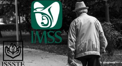 Pensión IMSS e ISSSTE tendrán aumento en el pago del 2024; ¿cuánto dinero recibirán sus afiliados?