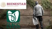 Pensión Bienestar: ¿Puedo recibir el pago en 2024 si también tengo la Pensión IMSS o ISSSTE?