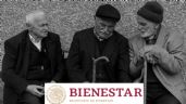 Pensión Bienestar: ¿Cuánto dinero se entregará en total durante el 2024?