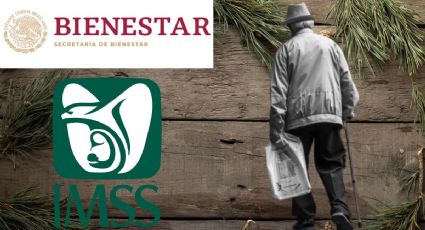 Pensión Bienestar: ¿Puedo recibir el pago en 2024 si también tengo la Pensión IMSS o ISSSTE?