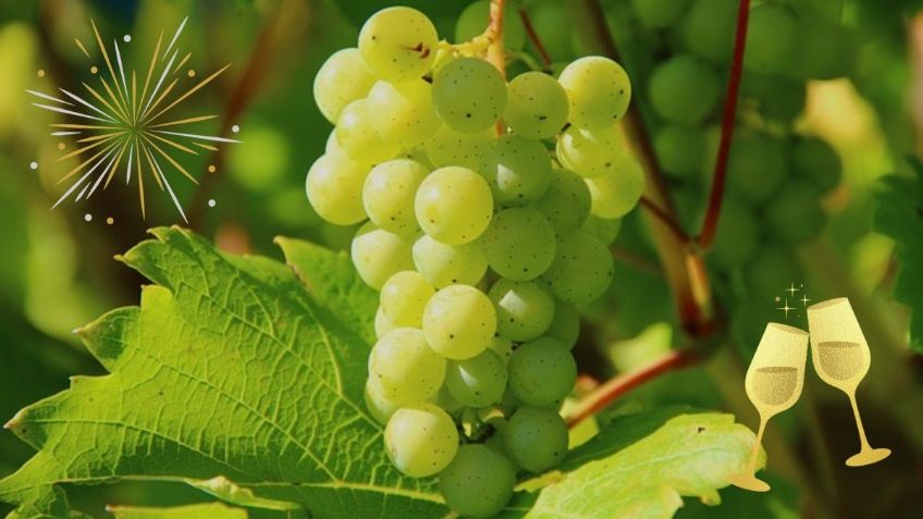 Año Nuevo 2023: Este será el costo del kilo de uva para el 31 de diciembre en CDMX