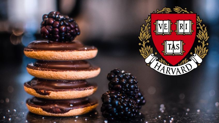 Universidad de Harvard revela los 4 alimentos que no debes comer si quieres adelgazar