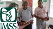 Pensión IMSS: ¿Se pueden obtener 100 mil pesos? Sigue estos pasos para conseguirlo