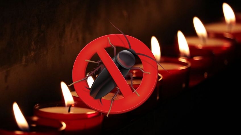 ¿Usar velas sirve para eliminar cucarachas? ChatGPT revela la verdad sobre este método