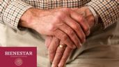 Pensión Bienestar: ¿Cuándo caerá el primer PAGO de 6,000 pesos para adultos mayores?