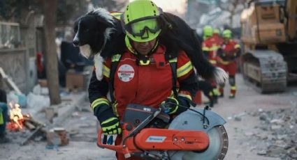 VIDEO VIRAL | Perrito de la Cruz Roja encuentra a alguien tras el Terremoto de Turquía