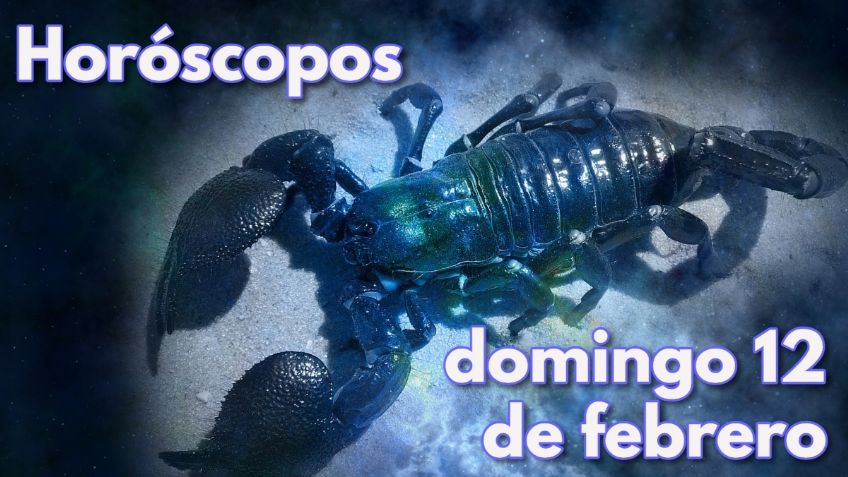 Horóscopos: números de la suerte y predicciones para tu signo HOY domingo 12 de febrero