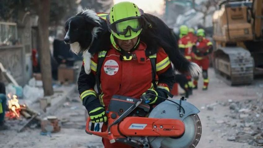 VIDEO VIRAL | Perrito de la Cruz Roja encuentra a alguien tras el Terremoto de Turquía