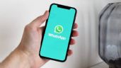 WhatsApp: ¿quieres saber cómo IMPORTAR contactos de un Excel?