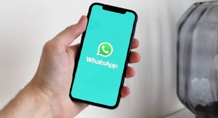 WhatsApp: ¿quieres saber cómo IMPORTAR contactos de un Excel?