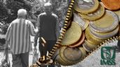 Pensión IMSS: ¿cuáles son las pensiones compatibles para recibir pago doble?