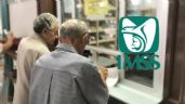 ¿Cuáles son los nuevos cambios para heredar la Pensión IMSS?