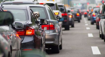 CDMX: Tras la contingencia ambiental, checa qué autos SÍ CIRCULAN este 26 de febrero