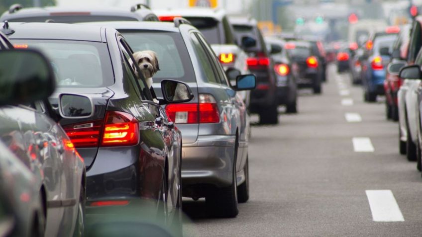 CDMX: Tras la contingencia ambiental, checa qué autos SÍ CIRCULAN este 26 de febrero